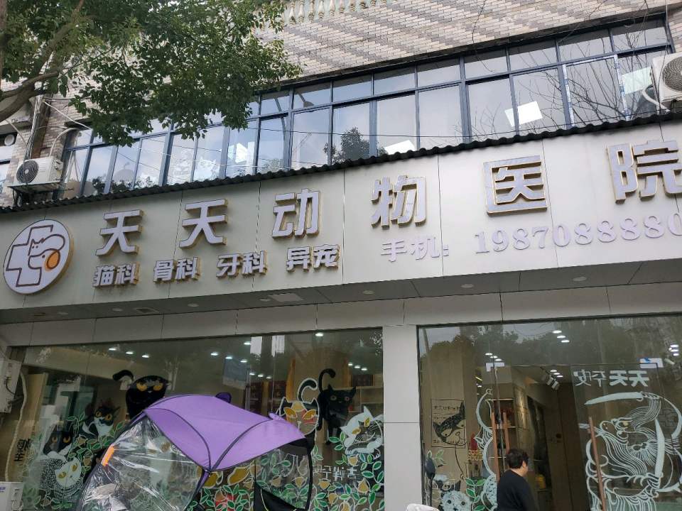 天天动物医院·骨科·猫科·心脏·异宠
