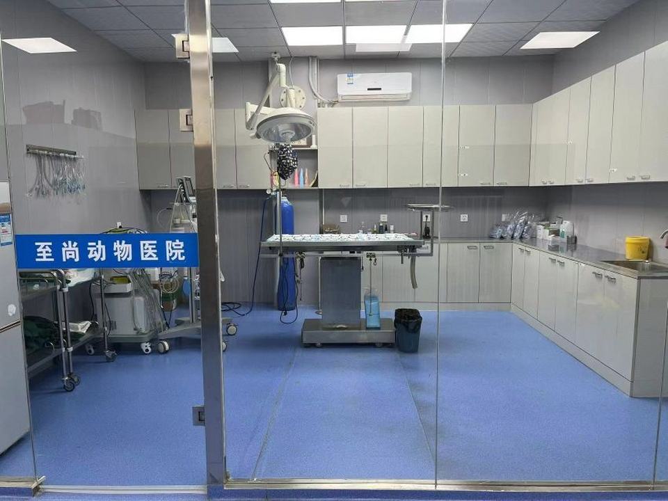 至尚动物医院(翟营南大街店)