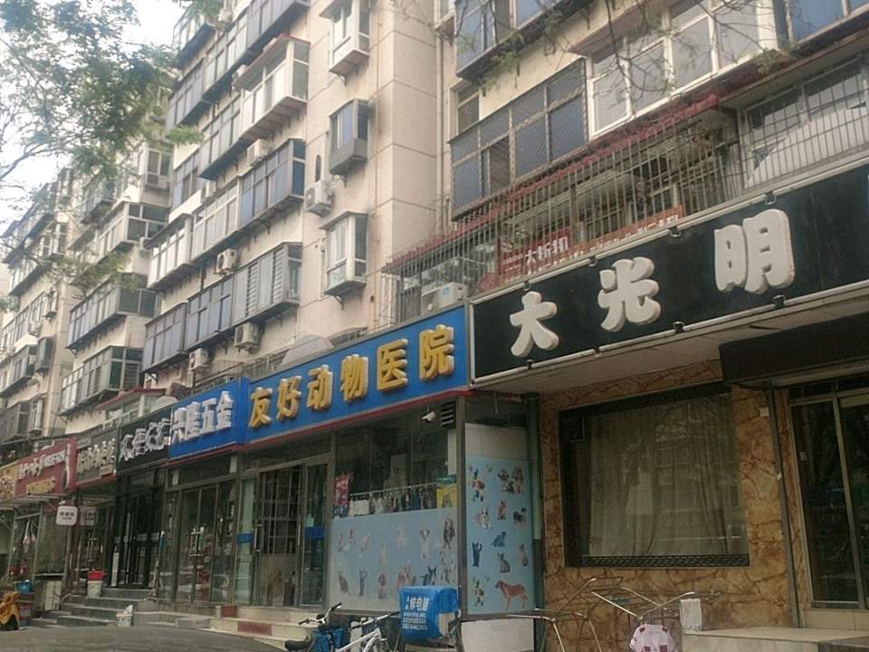 瑞宠信友好动物医院·猫专科·老年病专科