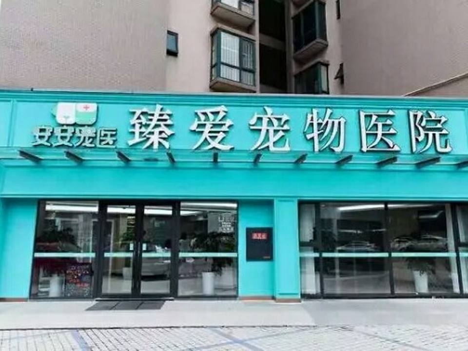安安宠物医院(高升桥分院)