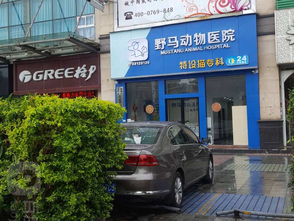 野马动物医院(南城店)