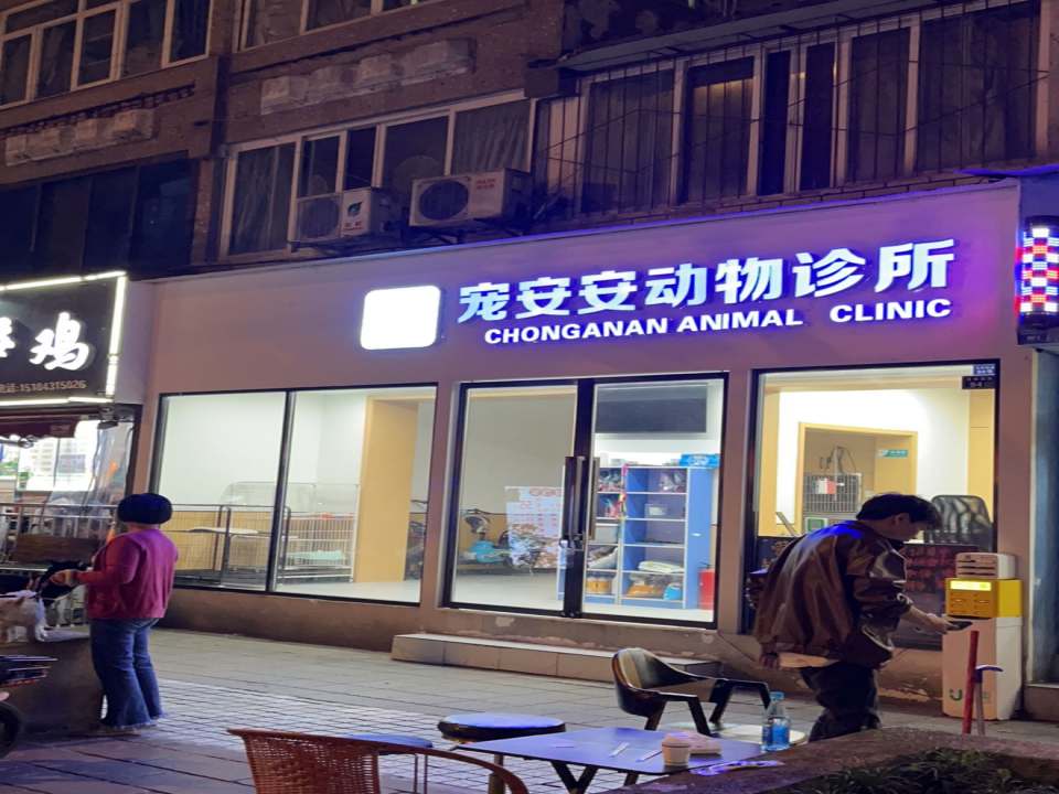 宠安安动物诊所