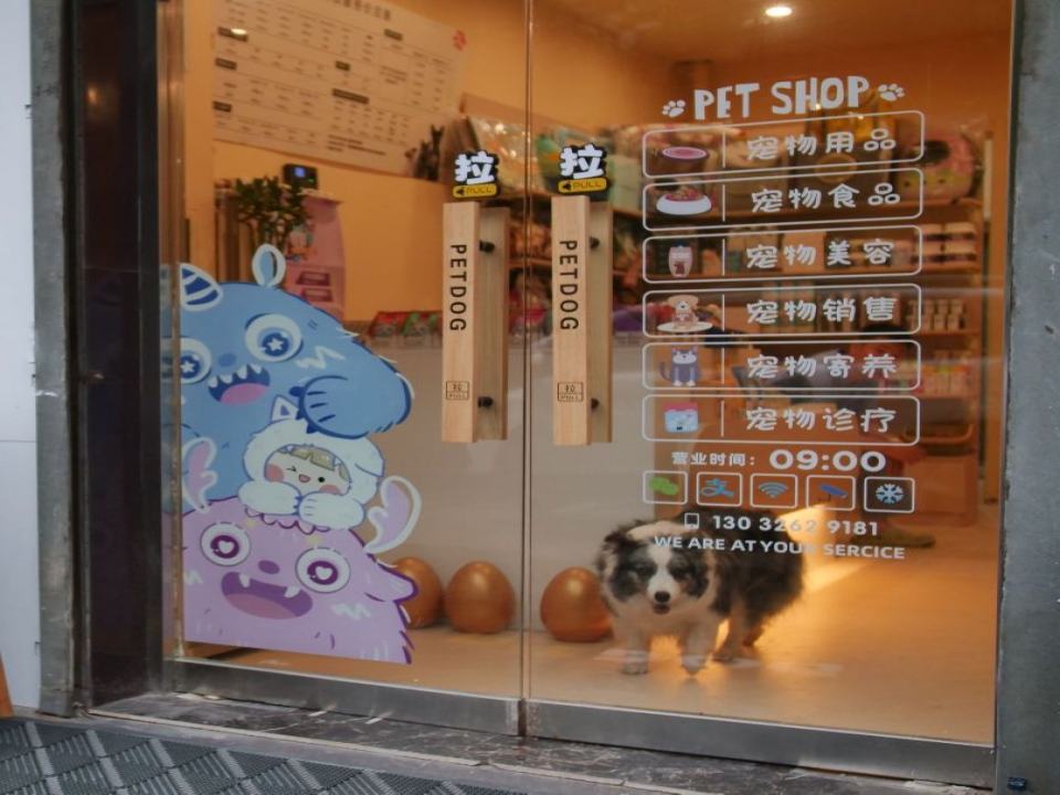 PETDOG派多格宠物诊所(塔北路店)