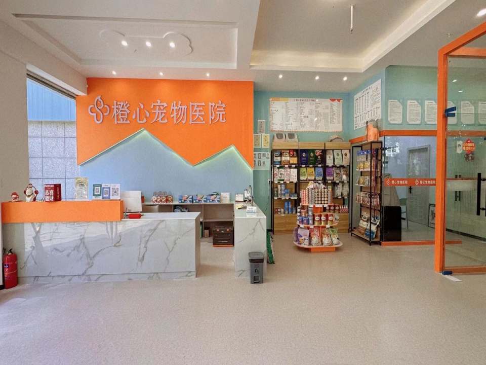 橙心宠物医院·猫专科·心脏·骨科·转诊中心