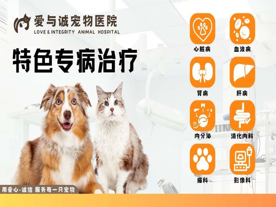 南京爱与诚宠物医院