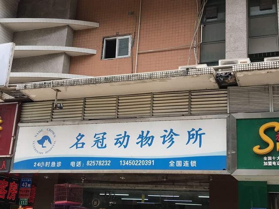 名冠动物医院·骨科·猫犬全科·夜诊(车陂院)