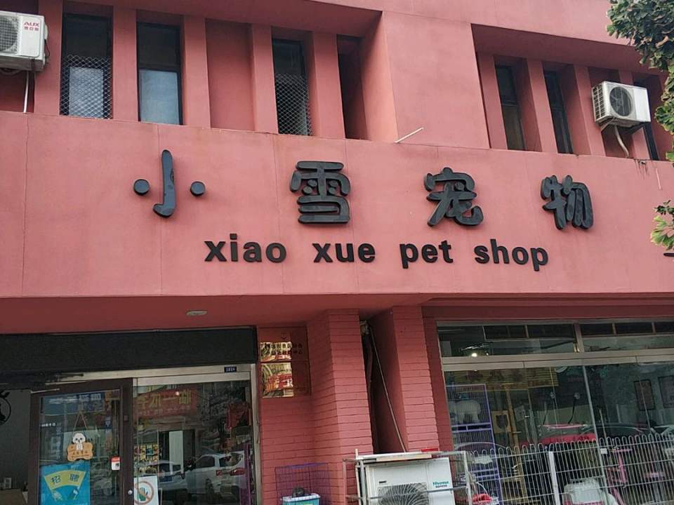 小雪宠物