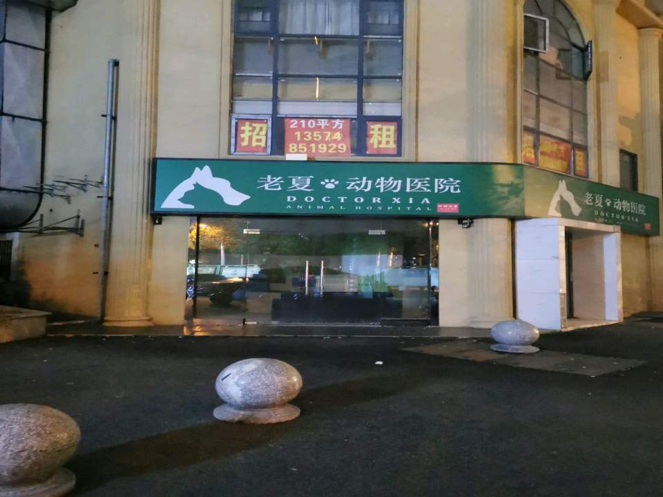 老夏动物医院(嘉雨路)
