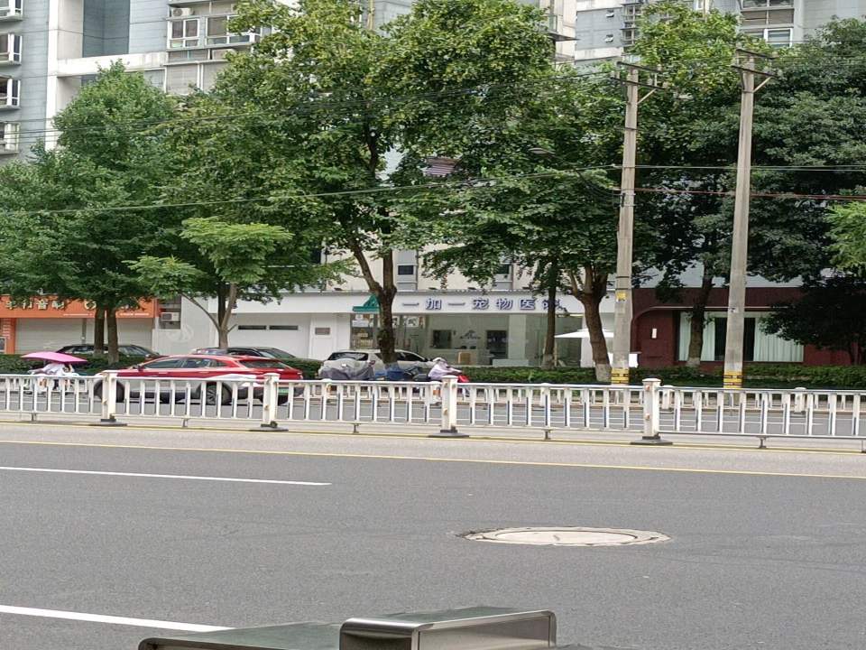 一加一宠物医院(珠冠大厦店)