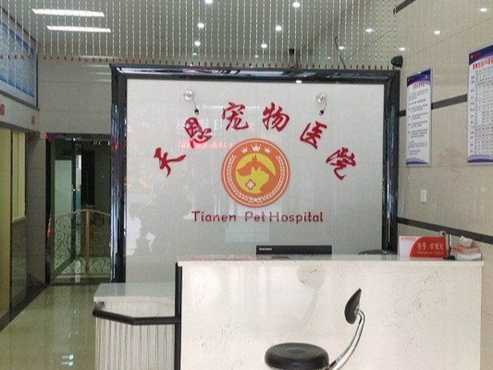天恩宠物医院