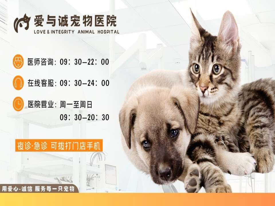 南京爱与诚宠物医院