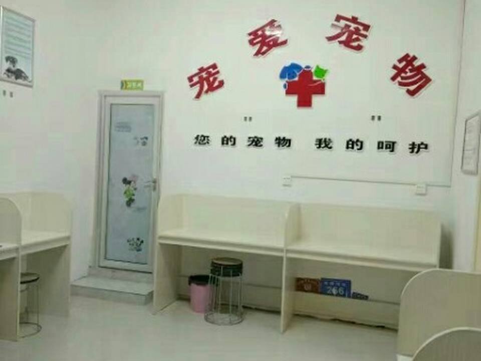 宠爱宠物医院(东顺河街店)