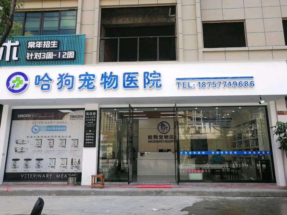 哈狗宠物医院