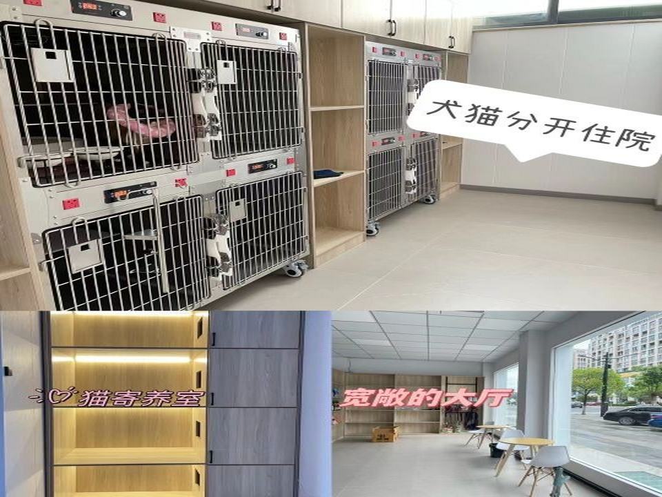 世博宠物医院