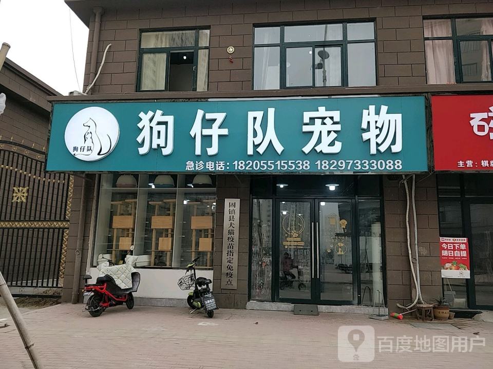 狗仔队宠物馆(大营路店)