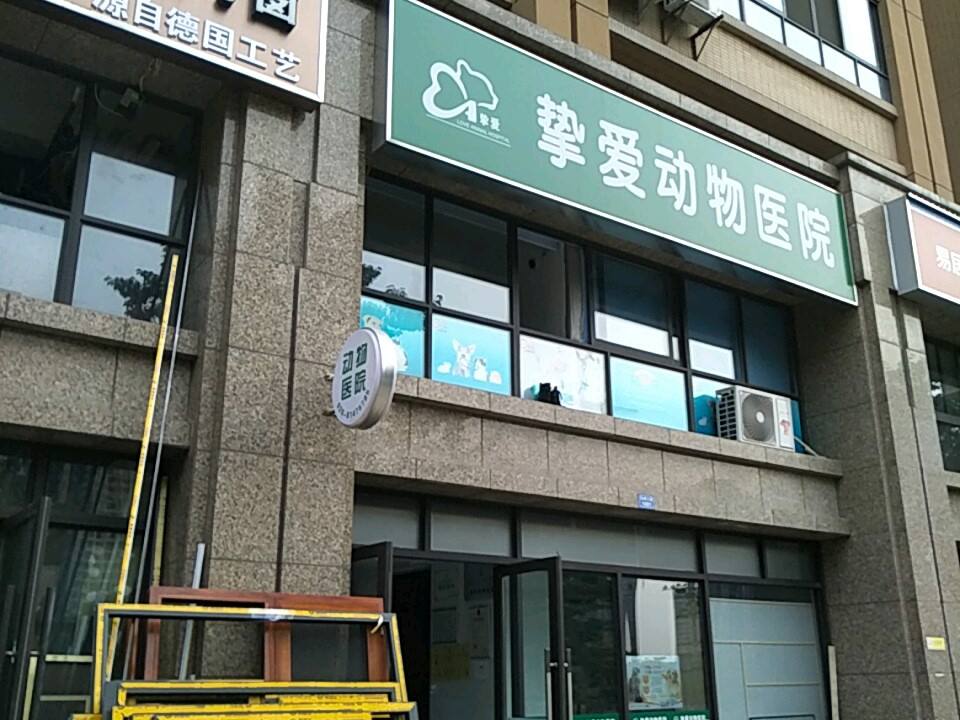 挚爱动物医院·骨科·心脏·异宠