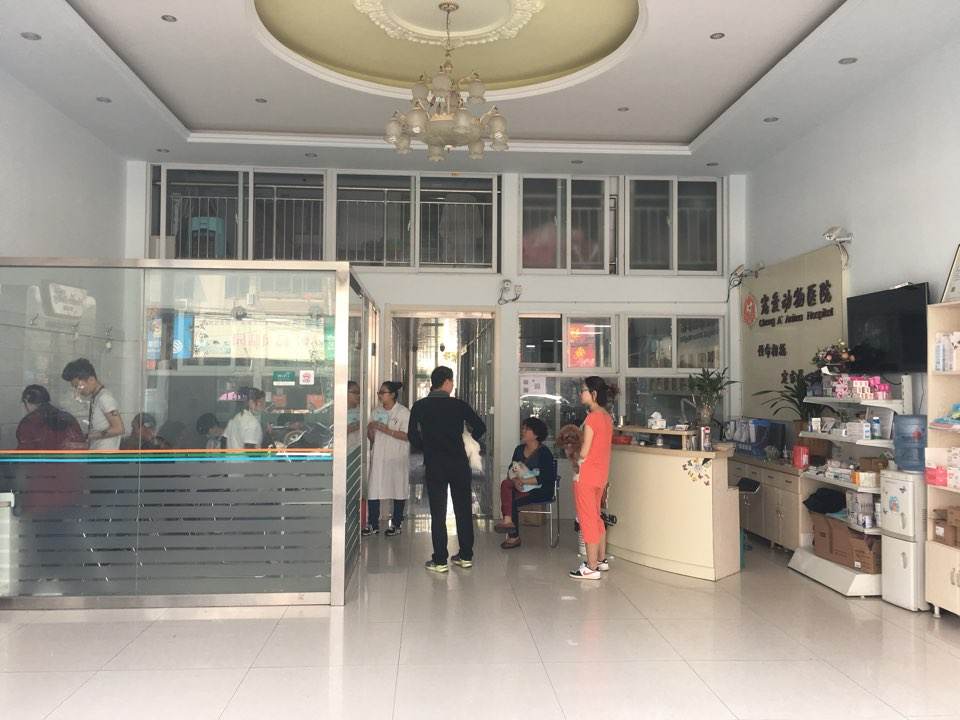 宠爱国际动物医院·疑难骨科(红旗一路店)