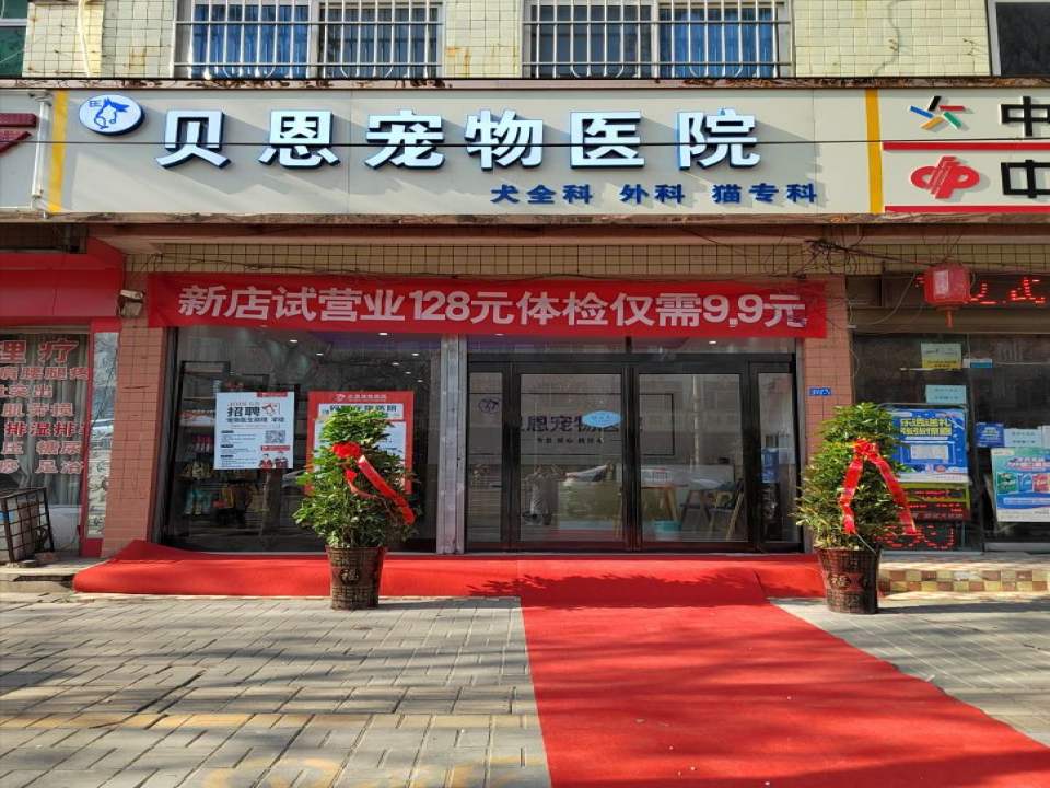 贝恩宠物医院·猫科·影像·全科医院