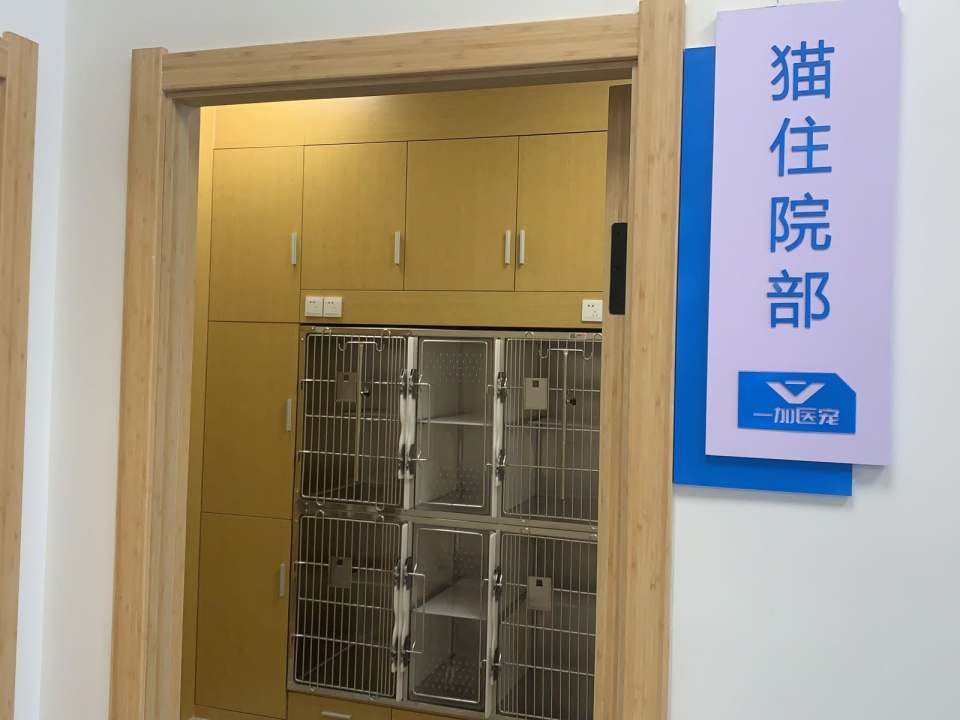一加宠物医院·免疫点(中和桥分院)