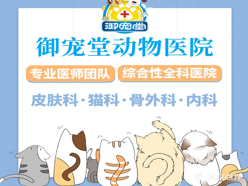 御宠堂动物医院
