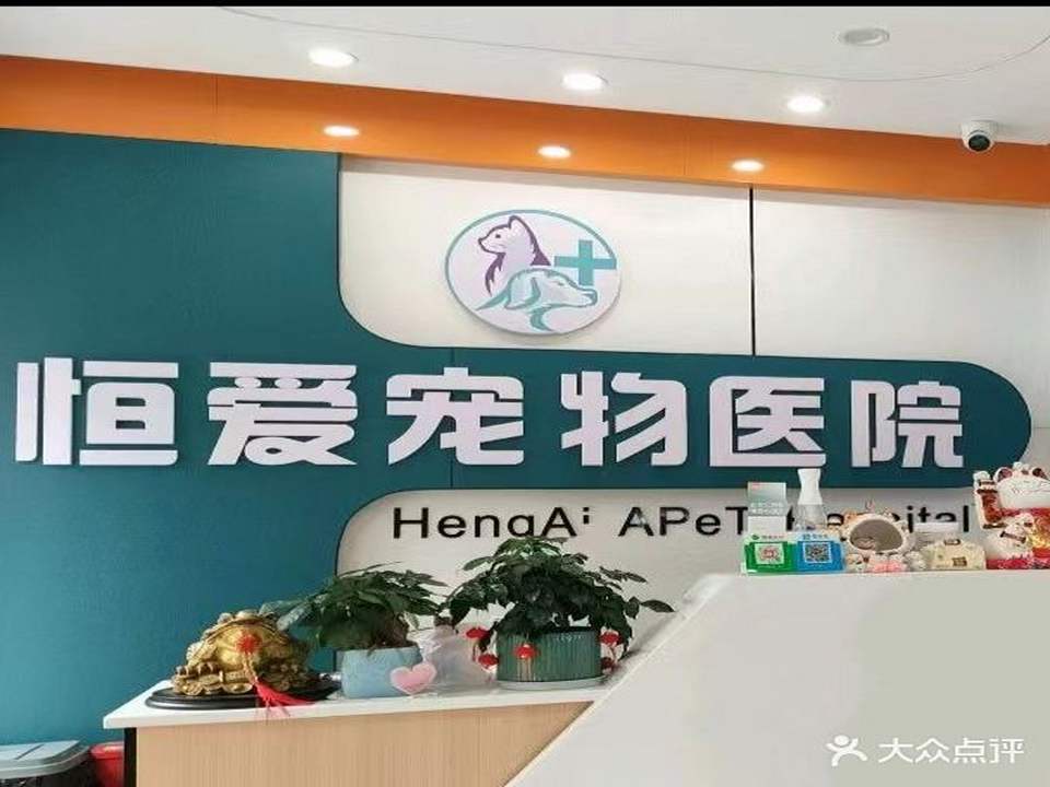 恒爱宠物医院