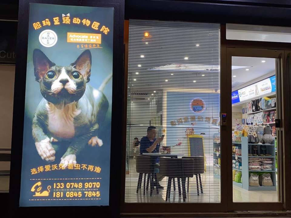 湖南熙玛至臻动物医院·MRI核磁·CT影像·ISFM国际猫友好·疑难眼科