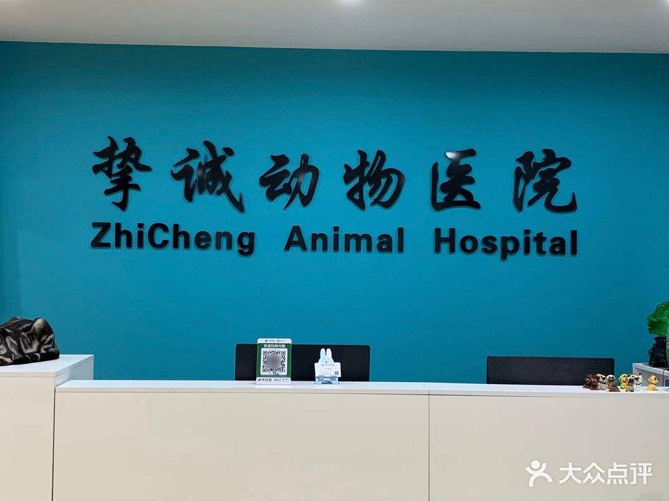 瑞宠信·挚诚动物医院