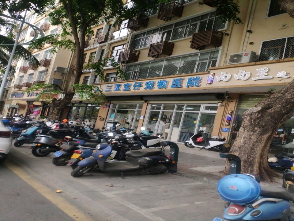 宝仔宠物医院
