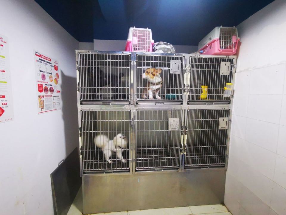 喵狗太医动物医院·猫科·异宠专科·骨科·24小时
