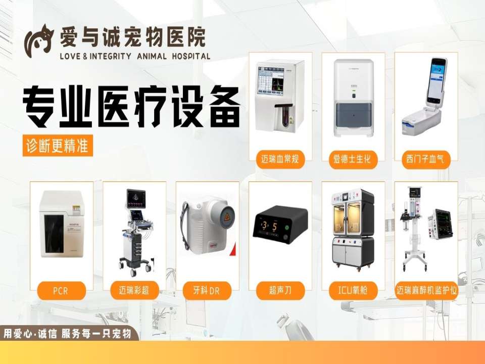 南京爱与诚宠物医院