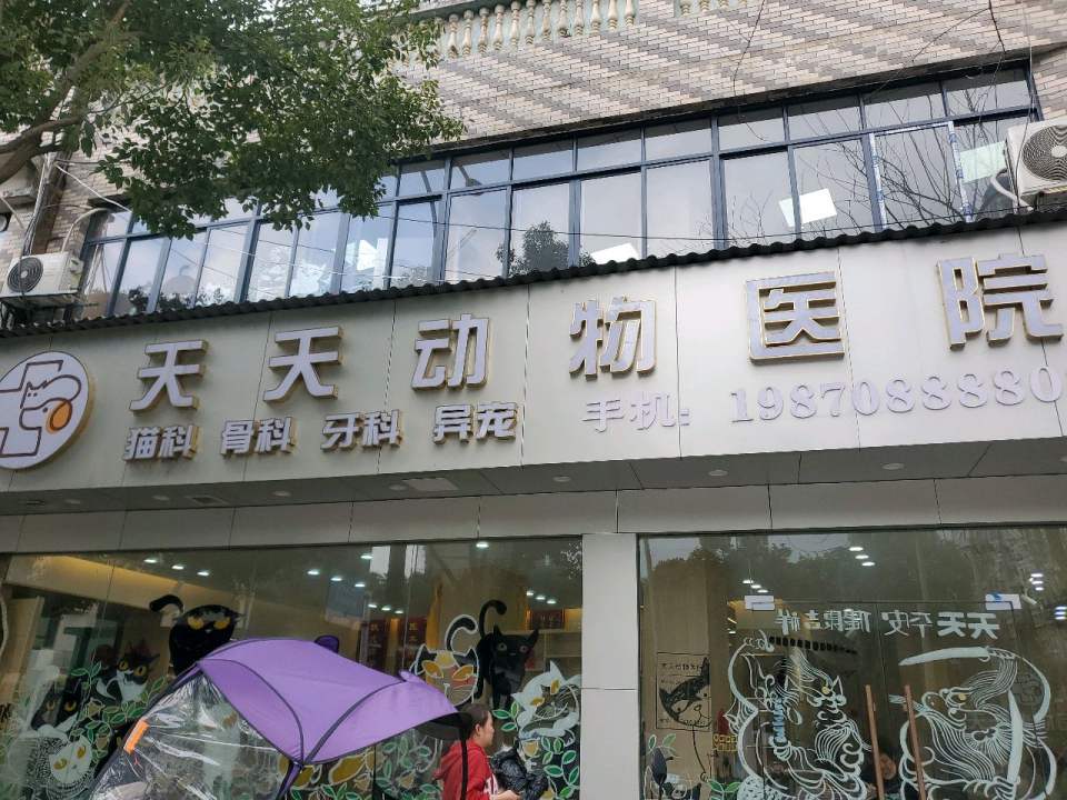 天天动物医院·骨科·猫科·心脏·异宠