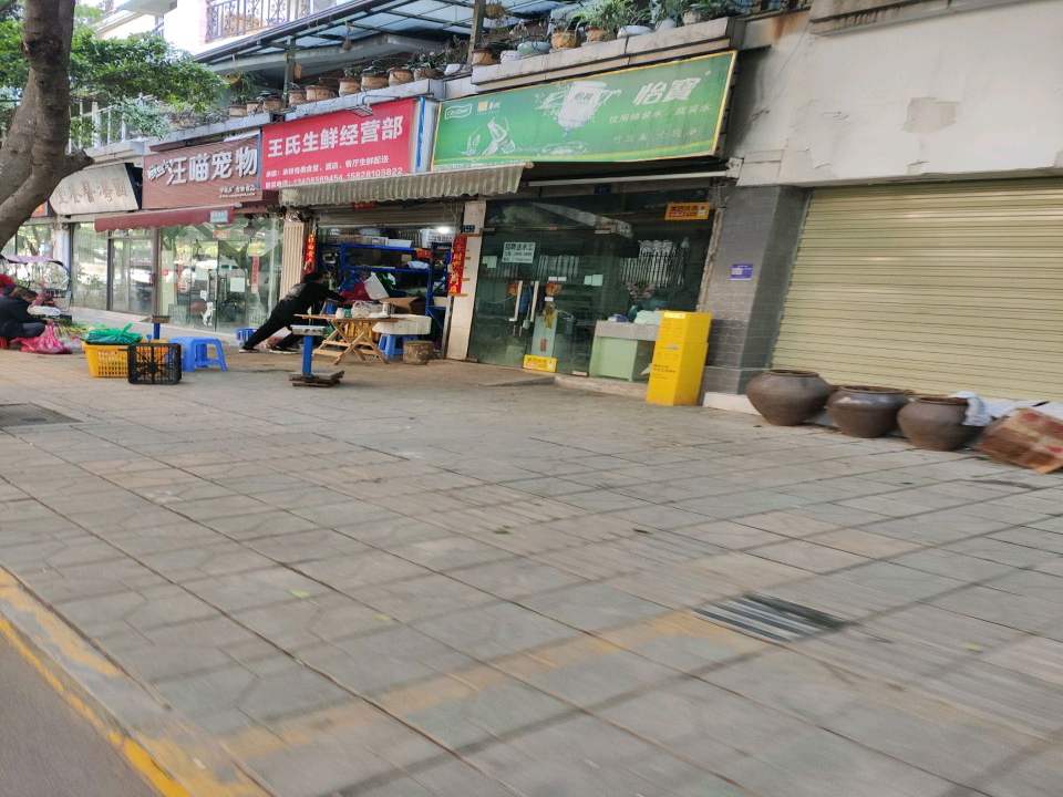 汪喵宠物(芳沁街店)