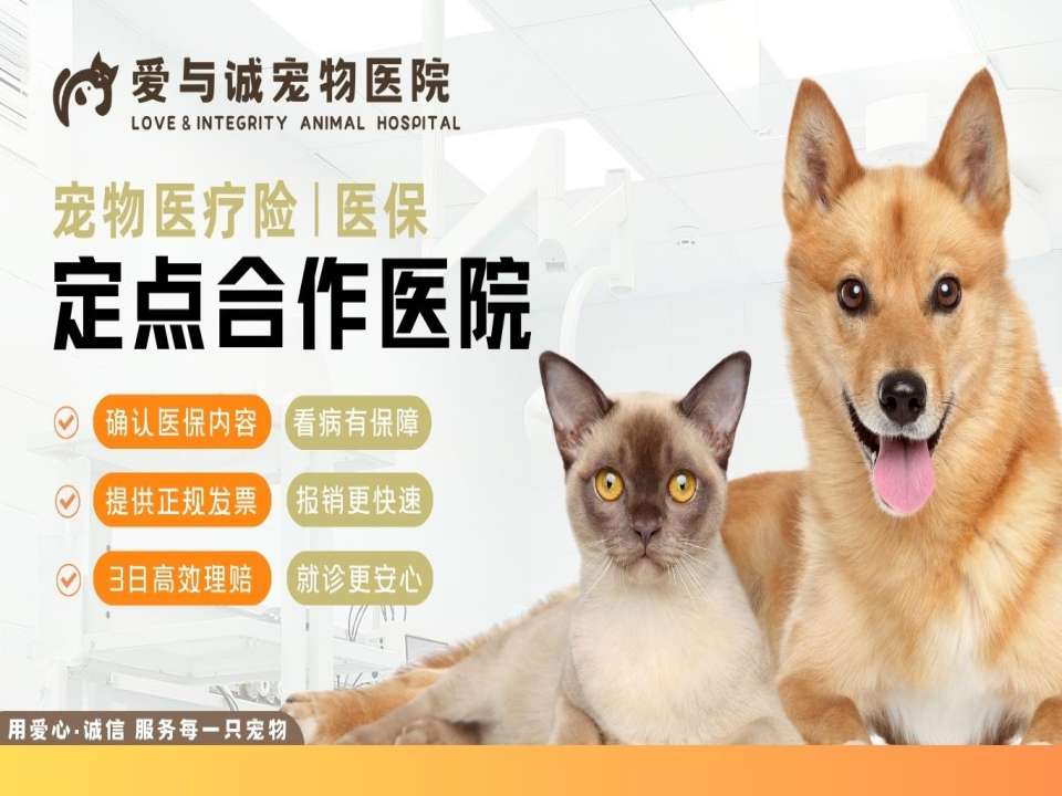 南京爱与诚宠物医院