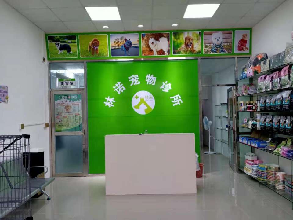 林诺宠物诊所(共和店)