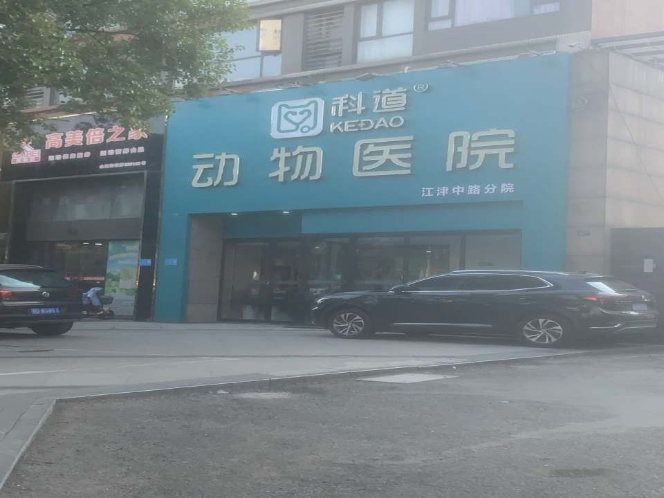 科道动物医院·全科·夜诊(江津中路院)