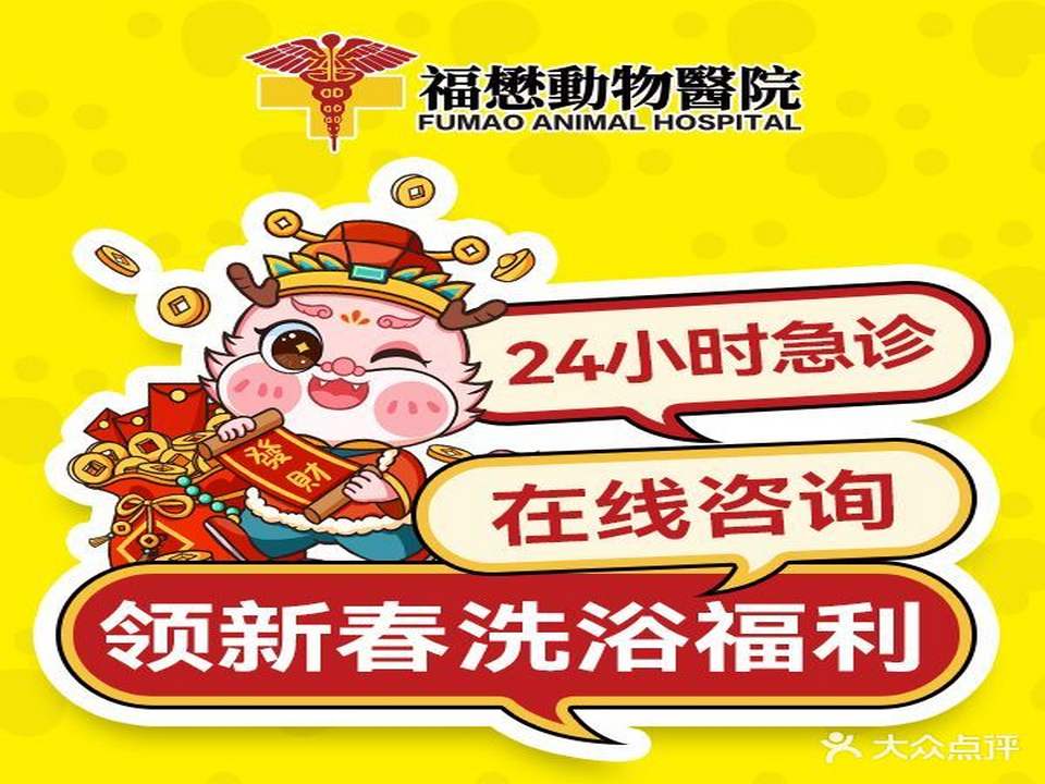 福懋動物醫院·犬猫外科(24h珠村分院)