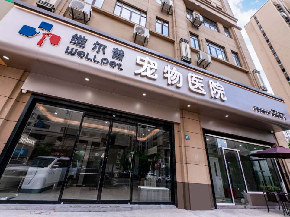 维尔普24小时宠物综合医院·犬猫全科·心脏彩超·骨科
