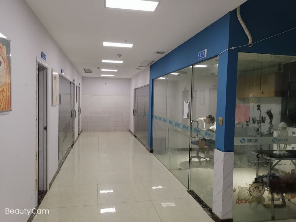喵狗太医动物医院·猫科·异宠专科·骨科·24小时