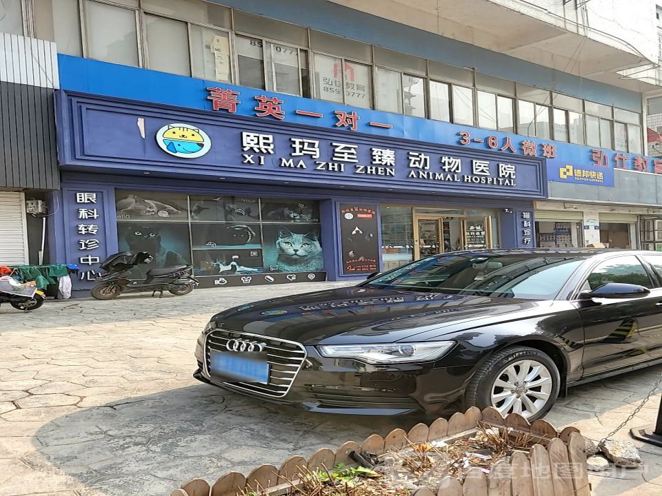 湖南熙玛至臻动物医院·MRI核磁·CT影像·ISFM国际猫友好·疑难眼科