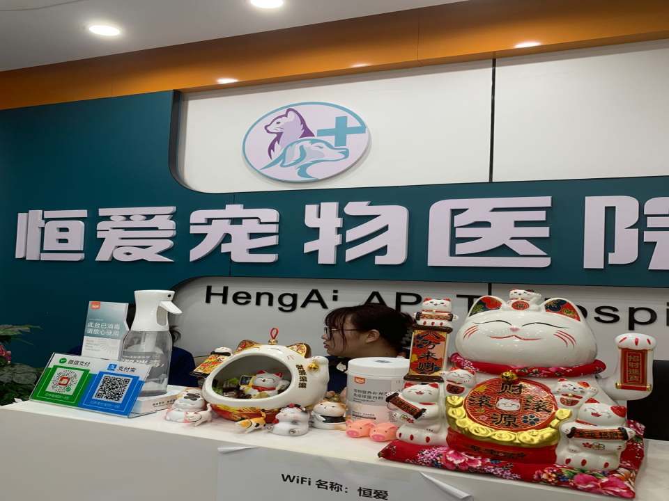 恒爱宠物医院