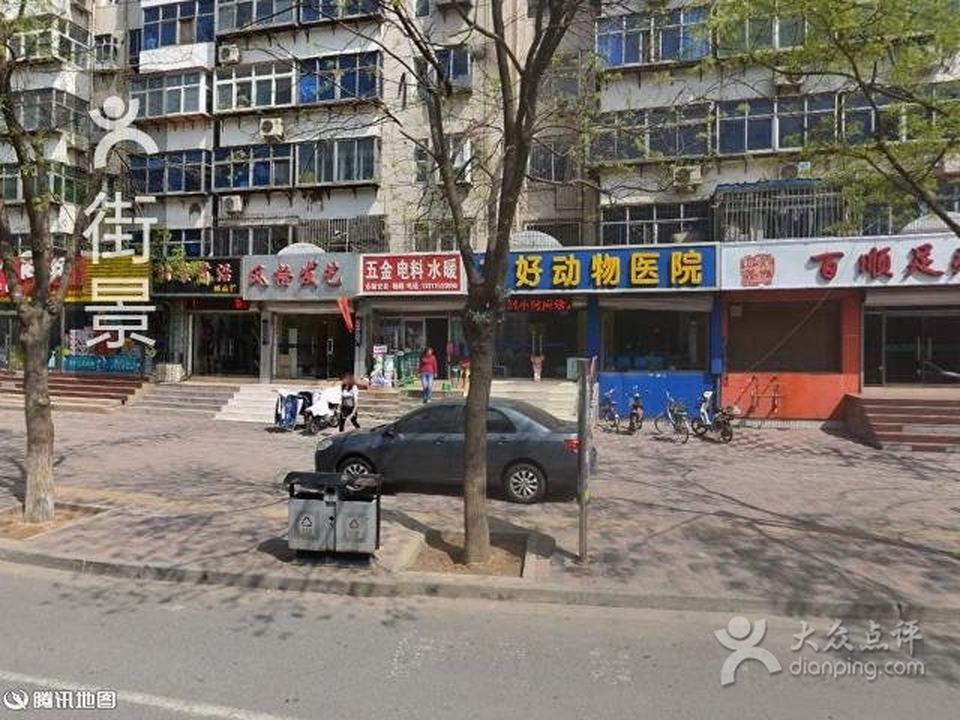 瑞宠信友好动物医院·猫专科·老年病专科