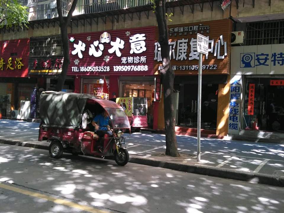 犬心犬意宠物诊所