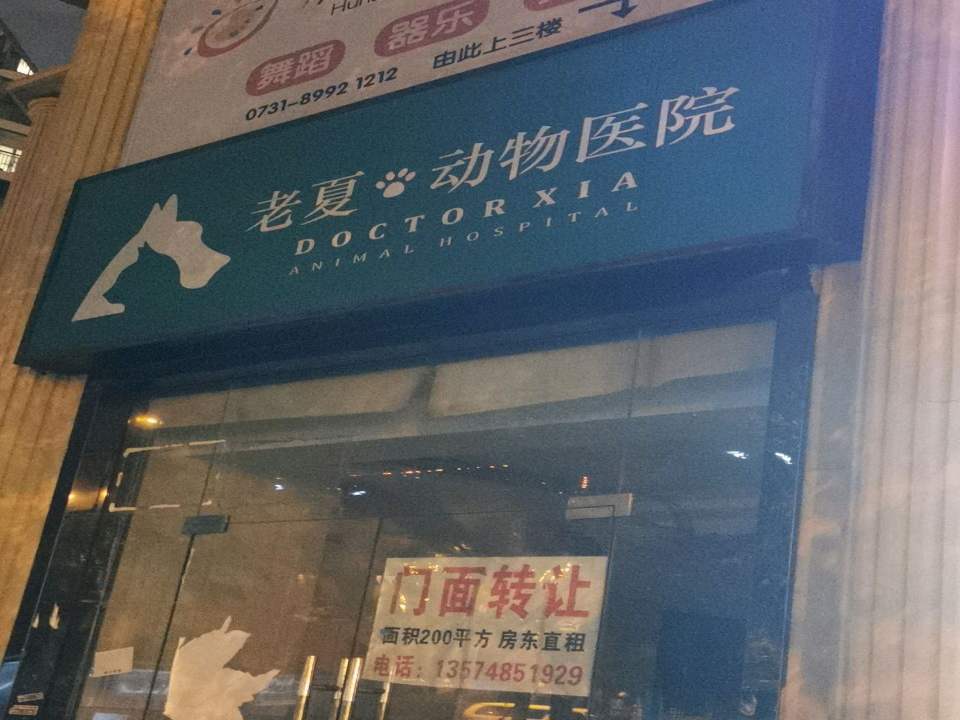 老夏动物医院(嘉雨路)