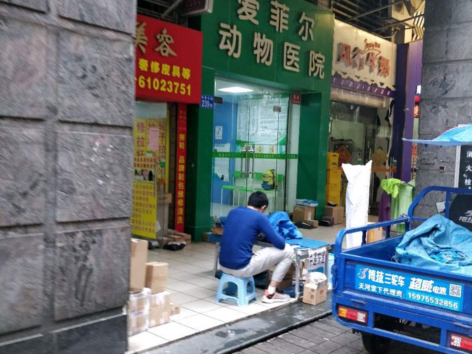 爱菲尔动物医院