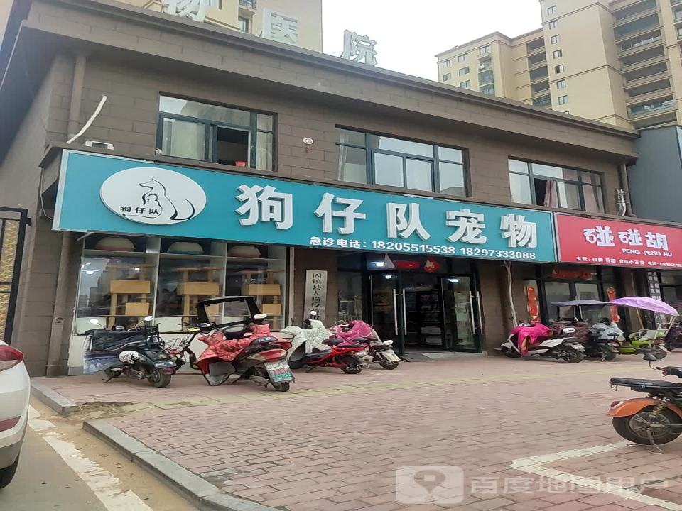 狗仔队宠物馆(大营路店)