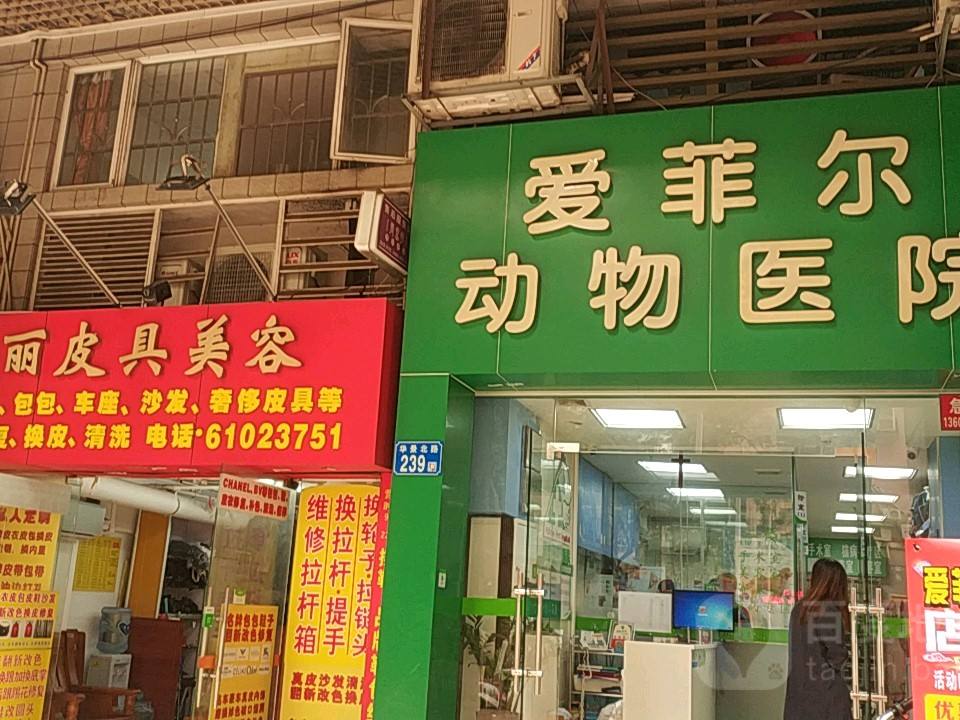 爱菲尔动物医院