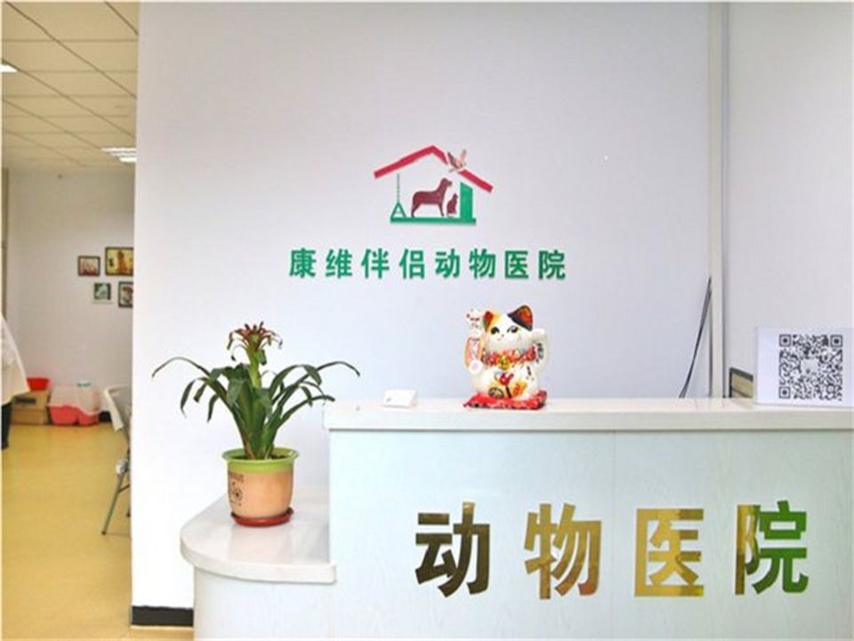 康维伴侣动物医院