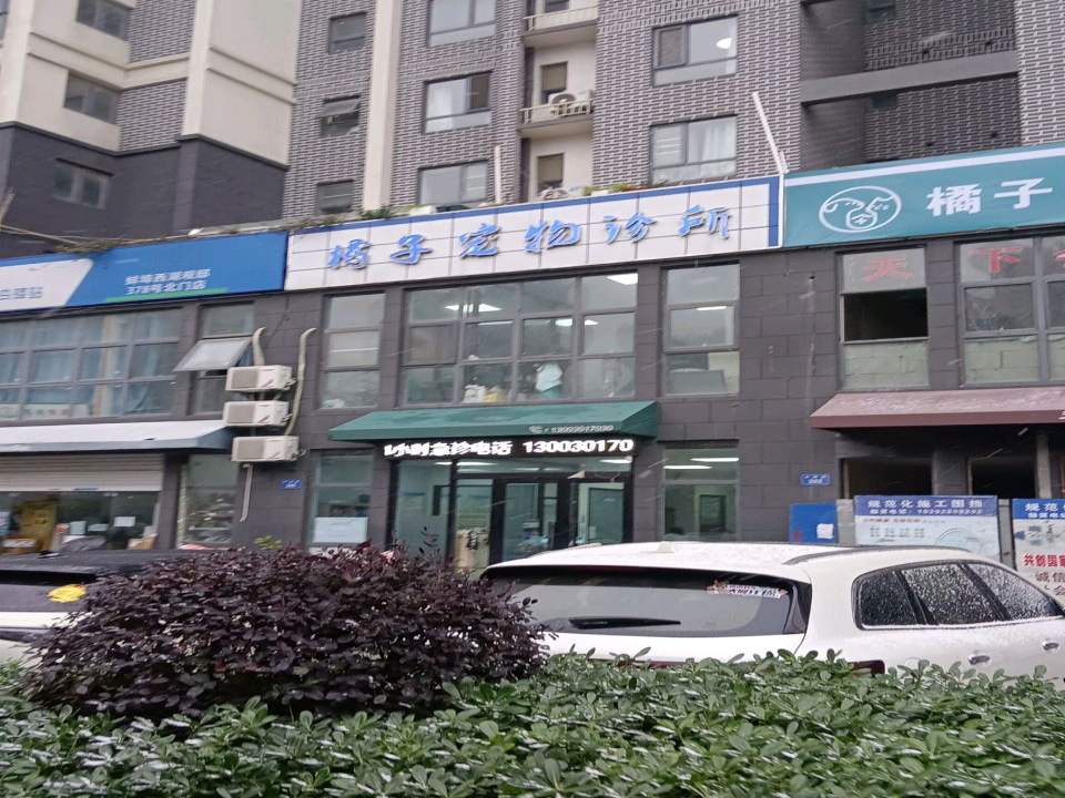 橘子宠物诊所