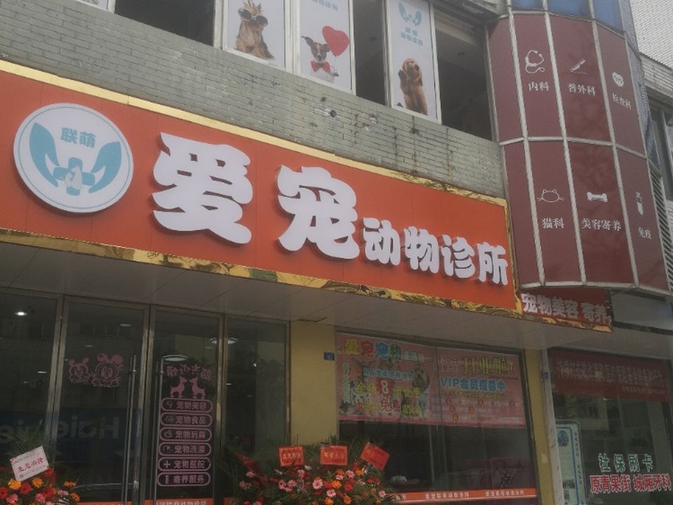 爱宠联盟动物诊所(宠物美容寄养)