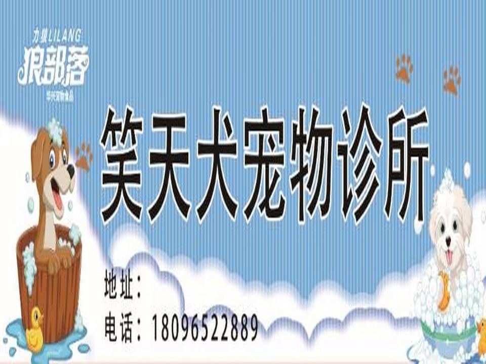 笑天犬宠物店